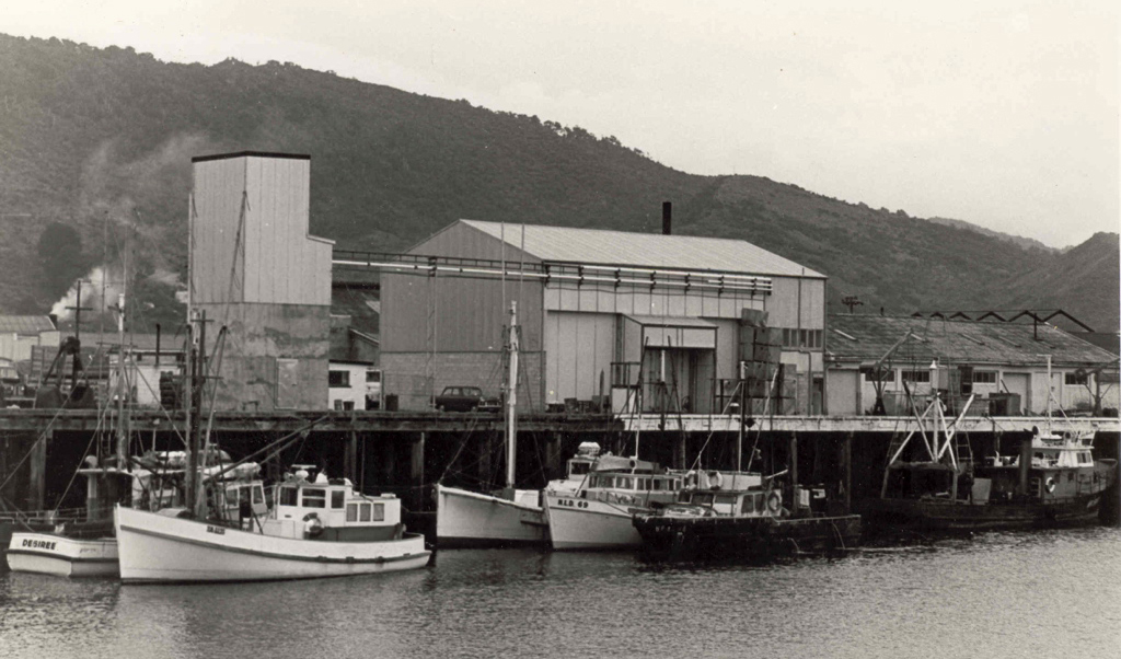 Greymouth wharf, West Coast